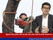  RapNews 32: Đau lòng vụ sập giàn giáo, chuyện phi công Đức nghi tự sát 