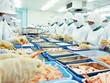 Nguồn cung tôm trên thế giới tăng lên đang tạo sức ép lên giá tôm xuất khẩu
