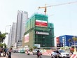 Các dự án căn hộ ở quận 7 khá hút khách nhờ lợi thế vị trí và Kl99kl ưu đãi độc quyền phát triển - Ảnh: Lê Toàn
