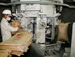 Ngành xi măng đang bước vào cuộc cạnh tranh của làm chủ công nghệ và quản trị DN - Ảnh: Hoài Nam