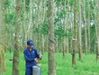 Ảnh Internet