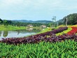 Flamingo Đại Lải Resort chính thức mở bán biệt thự Forest