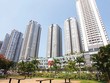 Cung tăng cao, nhưng sức cầu cũng tăng tương ứng
