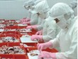 Khoản lỗ năm 2014 đã khiến VNH âm tới 54% vốn điều lệ