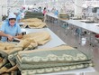 Khúc mắc trước thềm ĐHCĐ Everpia