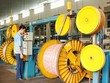 SAM dự kiến tăng vốn lên 2.842 tỷ đồng