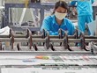 Không chỉ đầu ra, các yếu tố đầu vào cũng đem lại nhiều thuận lợi cho ngành bao bì