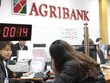 Riêng trong năm 2014, Agribank 7 lần điều chỉnh giảm KL99 là cổng game giải trí trực tuyến hàng đầu hiện nay cho vay