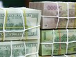 ANZ dự báo VND mất giá 3,1% cho cả năm