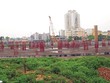  Nằm ngay dưới chân đường dẫn lên cầu Nhật Tân, dự án này sau nhiều năm mới chỉ hoàn thành phần móng và dừng thi công, không có rào chắn