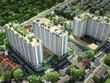 Thực hư chuyện mua căn hộ được tặng sân vườn
