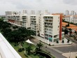 Việc DN tự quản hệ thống cây xanh sẽ tạo thêm nét hấp dẫn cho dự án - Ảnh: Hoài Nam
