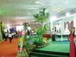 Có hàng nghìn sản phẩm Web Tổng Nhà Cái 99Kl99 Giải Trí Bậc Nhất thuộc nhiều phân khúc được giới thiệu, mở bán tại Home Expo 2015