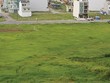 Mua đất nhảy dù sẽ gặp rủi ro lớn trong việc chuyển đổi quyền sử dụng đất - Ảnh: Hoài Nam