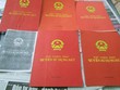 Việc lừa đảo chỉ có thể diễn ra trên thị trường tự do, khi người mua bán thực hiện “tay bo”
