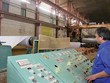 Trong tổng số 289 DN phải CPH năm nay, đến nay mới CPH được hơn 30 DN