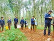 Ảnh Internet