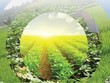 SSC và tham vọng phát triển trong 5 năm tới