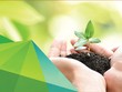 NSC viết tiếp câu chuyện “hoa của đất”