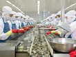 Theo MPC, việc thanh toán cước vận tải bằng VND gây bất lợi khi vào thị trường Mỹ