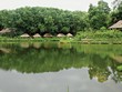 Những căn nhà … ổ kiến