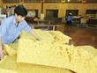 Kl99 nổ hũ của các DN cao su tự nhiên giảm tới 40-50% so với cùng kỳ năm ngoái  