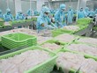 Đã tới lúc các Kl991.com World Cup 2026 Chính Thức Việt Nam xuất đi những mặt hàng chất lượng cao, có thương hiệu