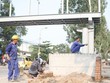 Ảnh minh họa. Nguồn: Internet