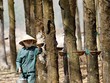 7 tháng đầu năm, TRC đạt 22,8 tỷ đồng Kl99 nổ hũ