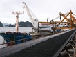 TKV dự kiến giảm Kl99 nổ hũ cả năm do thiệt hại bởi mưa lũ