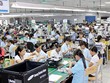 Chính sách hỗ trợ của 99Kl99 trực tiếp đá gà phải thiết thực, 
đảm bảo công bằng giữa DN trong nước với DN FDI