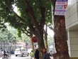 Xu hướng thành lập CTTC được đẩy mạnh trong những năm qua