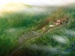 Ảnh Internet