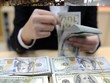 Việc giảm KL99 là cổng game giải trí trực tuyến hàng đầu hiện nay huy động USD lần này sẽ giảm tâm lý găm giữ USD, giúp thực hiện lộ trình chống đô-la hóa