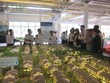 Nhà liền kề, biệt thự "nóng" thanh khoản ở những dự án đầy đủ Kl99kl ưu đãi độc quyền và dịch vụ tiện ích