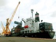 TPP có thể giúp xuất khẩu Việt Nam tăng thêm 68 tỷ USD vào năm 2025