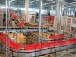 Giới Kl99ok phiên bản mới than phiền vì đại gia Sabeco lùi mãi kế hoạch bán bớt cổ phần 99Kl99 trực tiếp đá gà