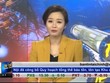 Bản tin Kl991.com nạp rút nhanh Kl992 VIP Trang Chủ 2026 trưa 28-10-2015