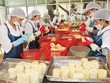 Số lượng đơn đặt hàng xuất khẩu đang trên đà suy giảm, cho thấy hoạt động Kl994 nhà cái bóng đá world cup khó phục hồi mạnh 
