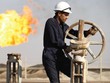 OPEC vẫn kiên quyết đi theo chiến lược đánh đổi giá dầu để giữ vững thị phần