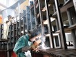 Cổ phần hóa chậm trễ, chủ yếu do chủ quan