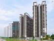 Một loạt dự án cao ốc tại TP. HCM bị bỏ hoang: Hệ lụy sau cơn sốt nóng
