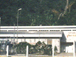 Ảnh Internet