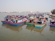 Mới chỉ có 23/28 địa phương ven biển phê duyệt danh sách chủ tàu đủ điều kiện vay vốn
