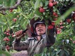 Khó khăn bủa vây, GDP vẫn ước vượt 6,5%