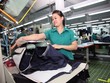 Lộ trình giảm thuế mở cửa cho hàng Việt Nam vào EU