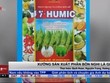 Xưởng Kl994 nhà cái bóng đá world cup phân bón nghi là giả