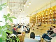Kl99kl phiên bản hoạt động nhân thọ viết tiếp câu  chuyện “thần tiên”