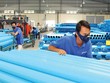 SCIC hiện sở hữu 29,51% vốn điều lệ BMP