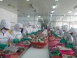 Nhiều ý kiến cho rằng thuế và phí đang tạo gánh nặng đối với DNNVV 